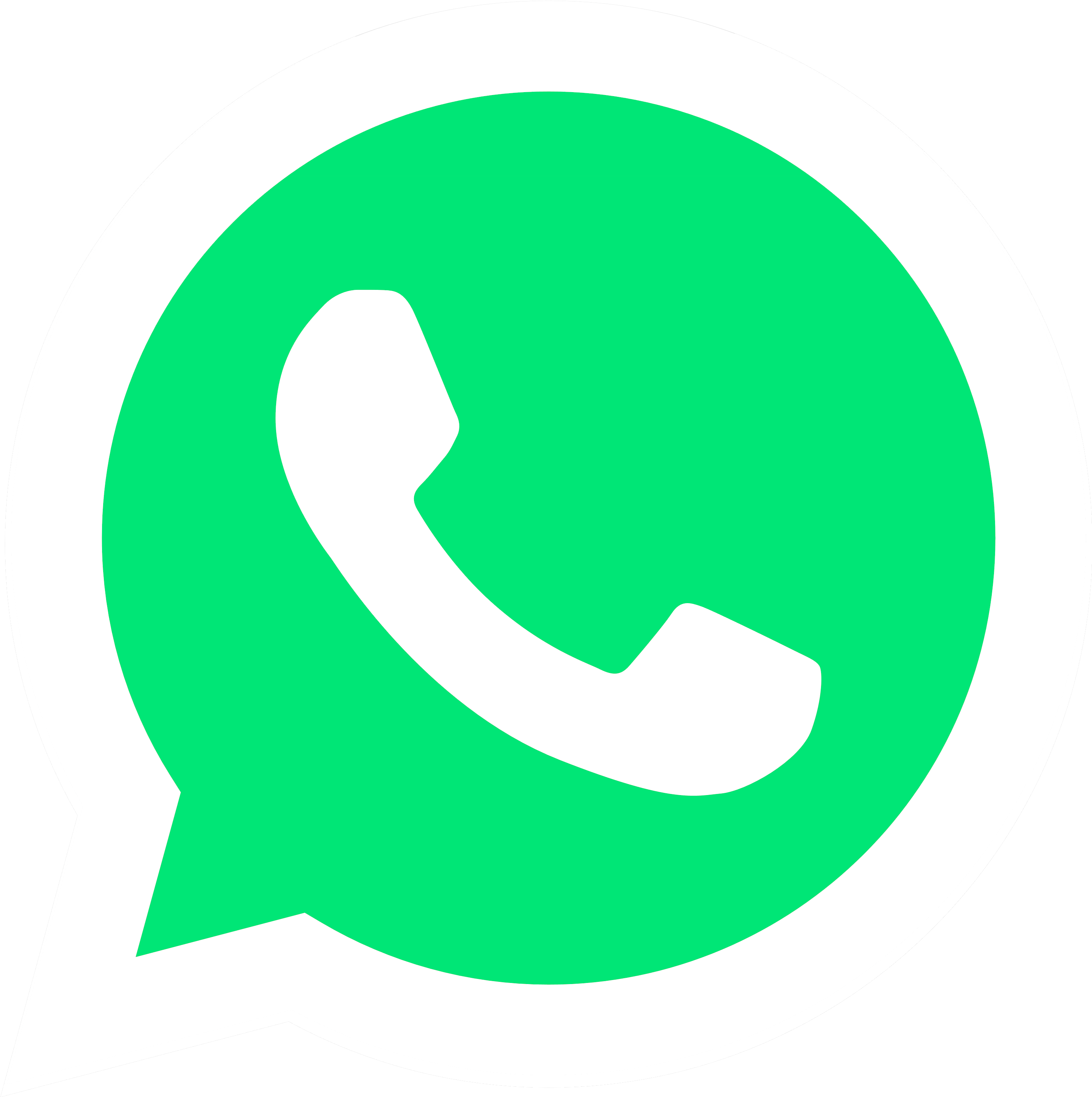 WhatsApp Icon